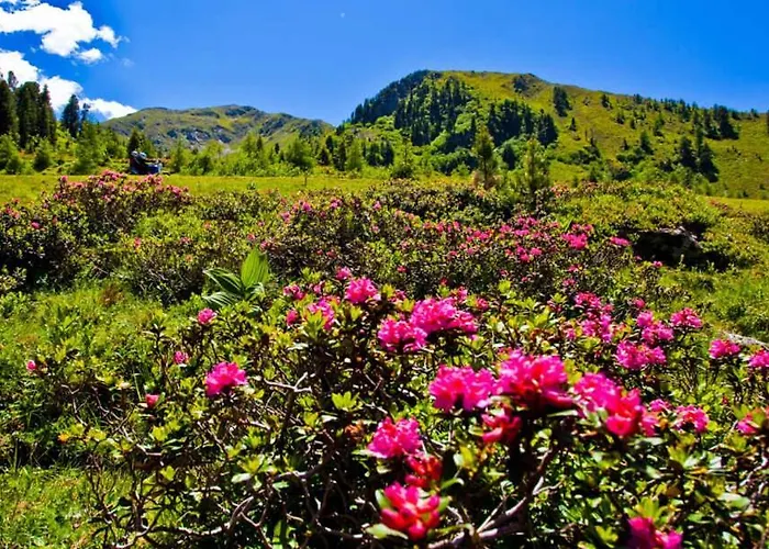 Guest house Post Krems in Kaernten