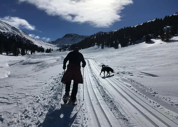 Guest house Post Krems in Kaernten